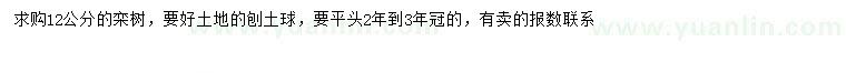 求購12公分欒樹
