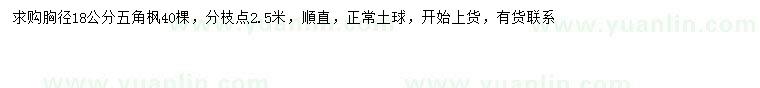 求購(gòu)18公分五角楓