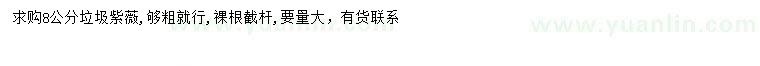 求購8公分紫薇