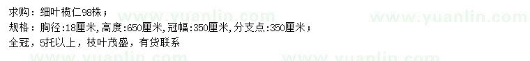 求購胸徑18公分細葉欖仁