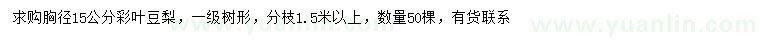 求購胸徑15公分彩葉豆梨