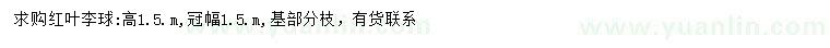 求購冠幅1.5米紅葉李球