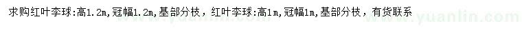 求購(gòu)冠幅1、1.2米紅葉李球