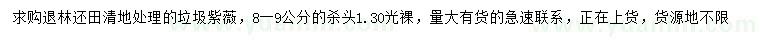 求購8-9公分紫薇