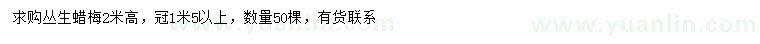 求購冠幅1.5米以上叢生蠟梅