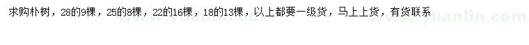 求購18、22、25、28公分樸樹