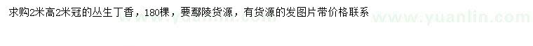 求購(gòu)冠幅2米叢生丁香