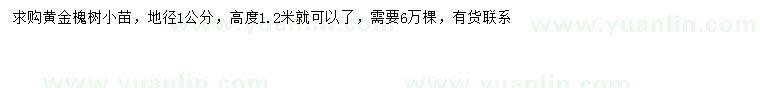 求購地徑1公分黃金槐小苗