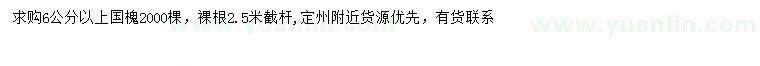 求購6公分以上國槐