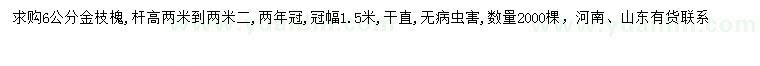 求購6公分金枝槐