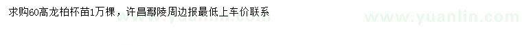 求購高60公分龍柏