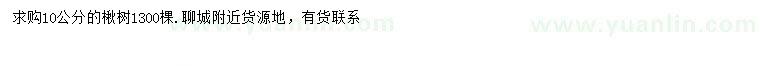 求購(gòu)10公分楸樹(shù)