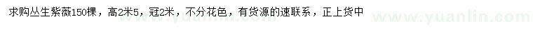 求購冠幅2米叢生紫薇