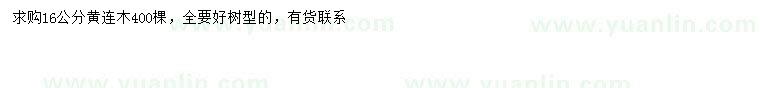 求購16公分黃連木