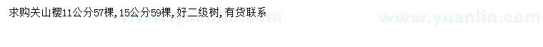 求購(gòu)11、15公分關(guān)山櫻