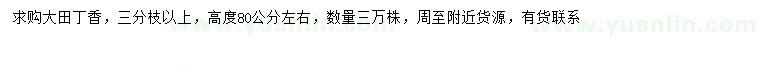 求購(gòu)高80公分丁香