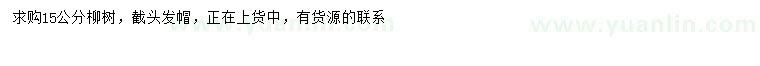 求購15公分柳樹