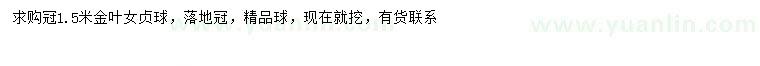 求購冠幅1.5米金葉女貞球