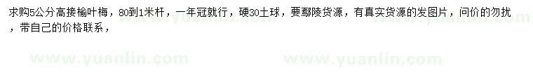 求購5公分高接榆葉梅