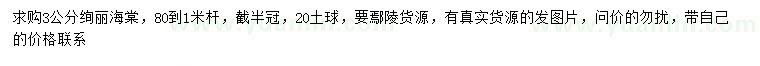 求購3公分絢麗海棠