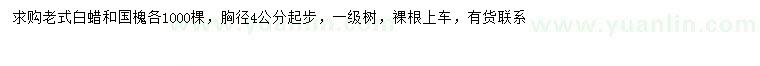 求購(gòu)胸徑4公分以上白蠟、國(guó)槐