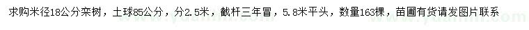 求購(gòu)米徑18公分欒樹