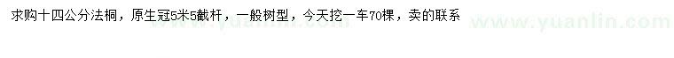 求購(gòu)14公分法桐