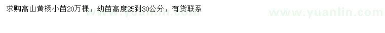 求購高25-30公分高山黃楊小苗