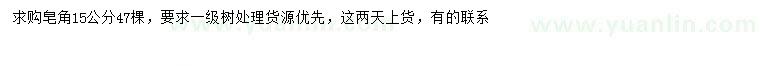 求購15公分皂角