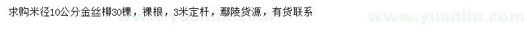 求購米徑10公分金絲柳