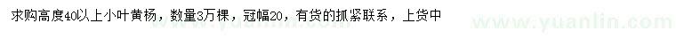 求購高40公分以上小葉黃楊