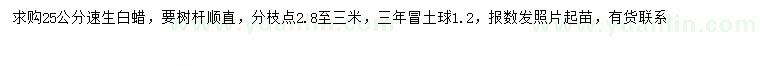 求購25公分速生白蠟
