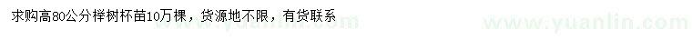 求購高80公分櫸樹
