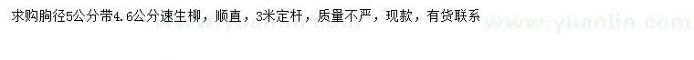 求購胸徑4.6、5公分速生柳