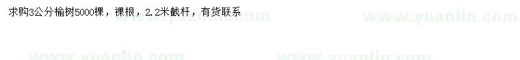 求購3公分榆樹