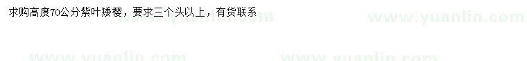 求購(gòu)高70公分紫葉矮櫻