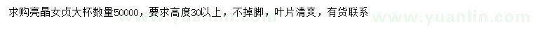 求購高30公分以上亮晶女貞