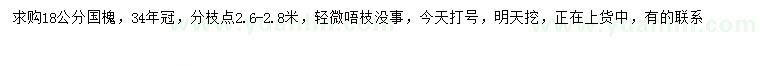 求購18公分國槐