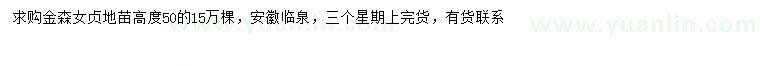 求購(gòu)高50公分金森女貞