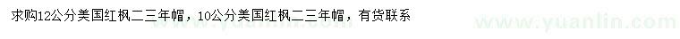 求購10、12公分美國紅楓