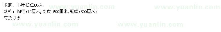 求購胸徑12公分小葉欖仁
