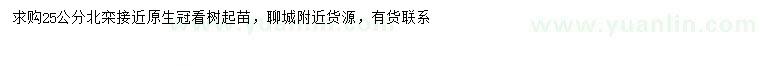 求購25公分北欒
