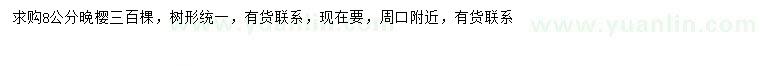 求購8公分晚櫻
