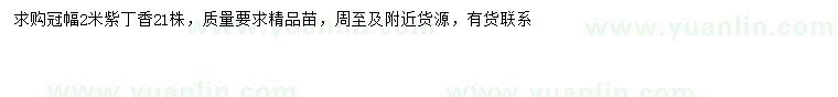 求購冠幅2米紫丁香