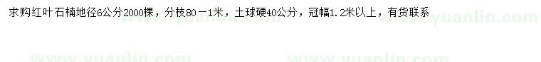 求購地徑6公分紅葉石楠