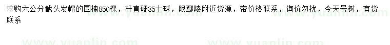 求購6公分國槐