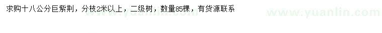 求購(gòu)18公分巨紫荊