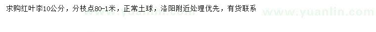 求購10公分紅葉李