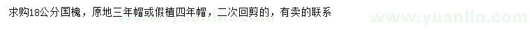 求購(gòu)18公分國(guó)槐