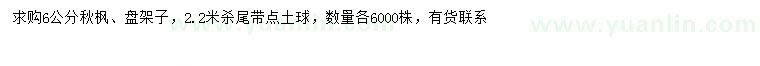 求購6公分秋楓、盤架子